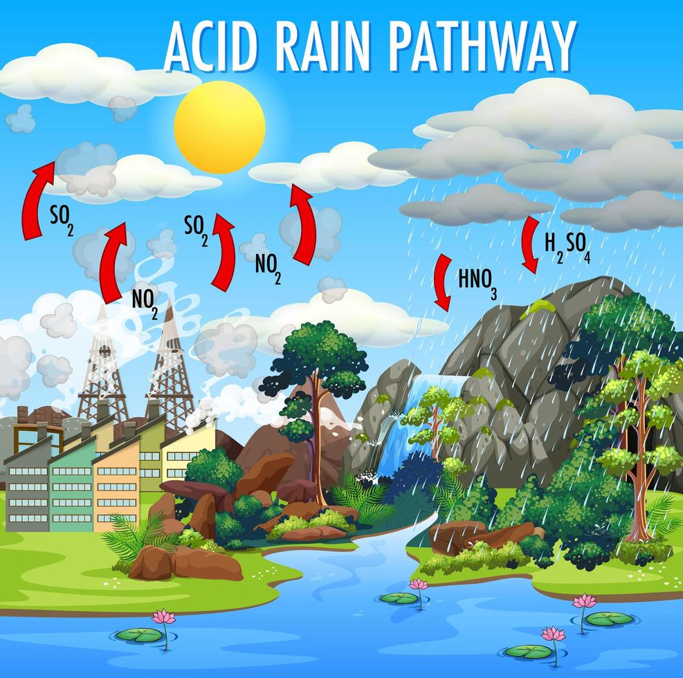 diagramma che mostra la pioggia acida vettore