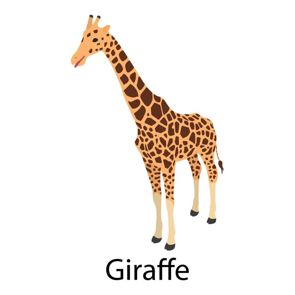 giraffa icona, isometrico stile vettore