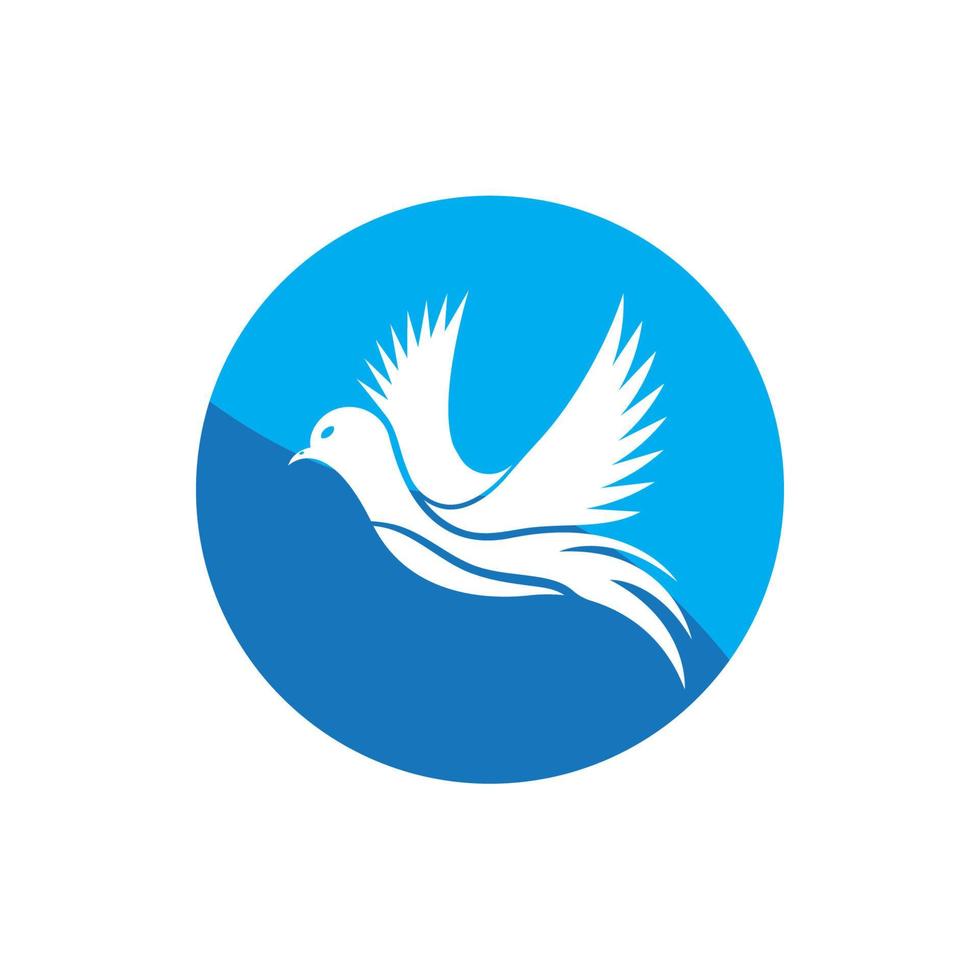 uccello ala colomba logo modello vettore