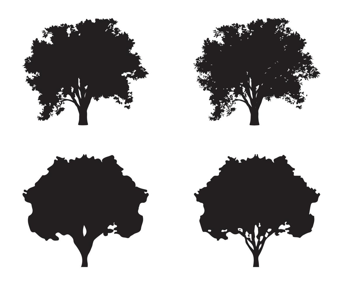 albero silhouette vettore. isolato foresta alberi sagome nel nero su bianca sfondo. vettore impostato di sagome di alberi