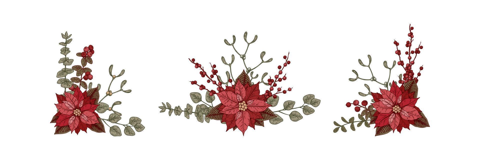 impostato di Natale botanica composizioni con poinsettia fiore e vischio. vettore illustrazione nel schizzo stile isolato su bianca sfondo