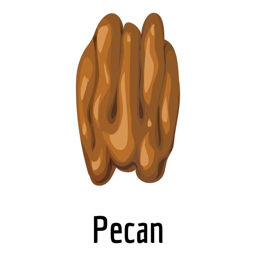 pecan icona, cartone animato stile vettore