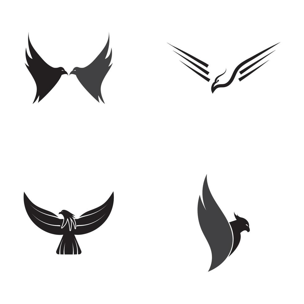 falco aquila logo modello vettore illustrazione design