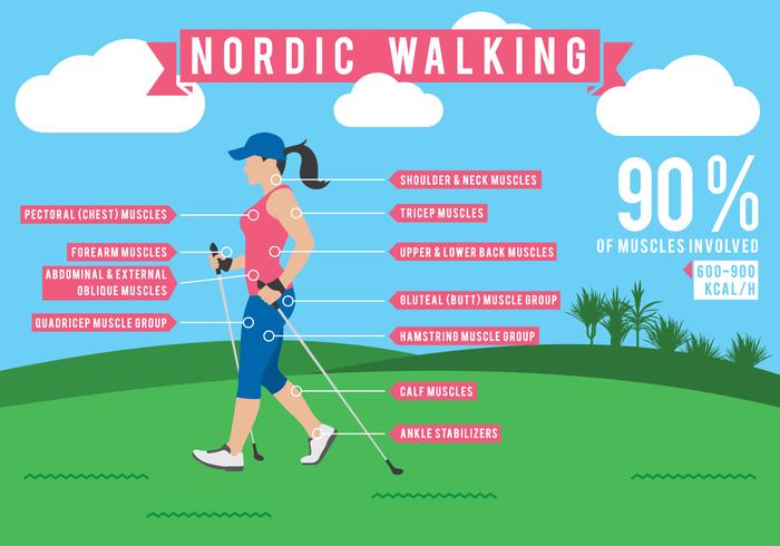 Dati di infografica del Nordic Walking vettore