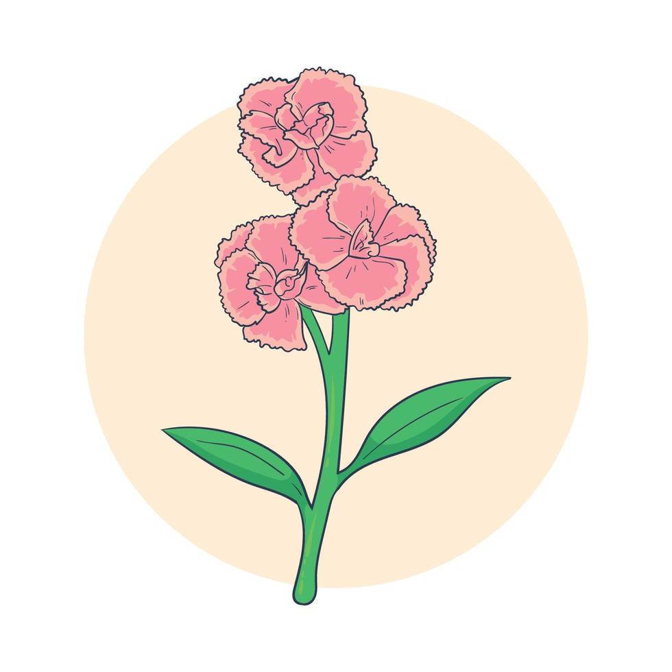 mano disegnato garofano fiore vettore