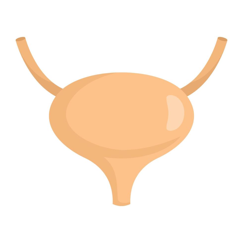 Vescica urinaria icona, piatto stile vettore