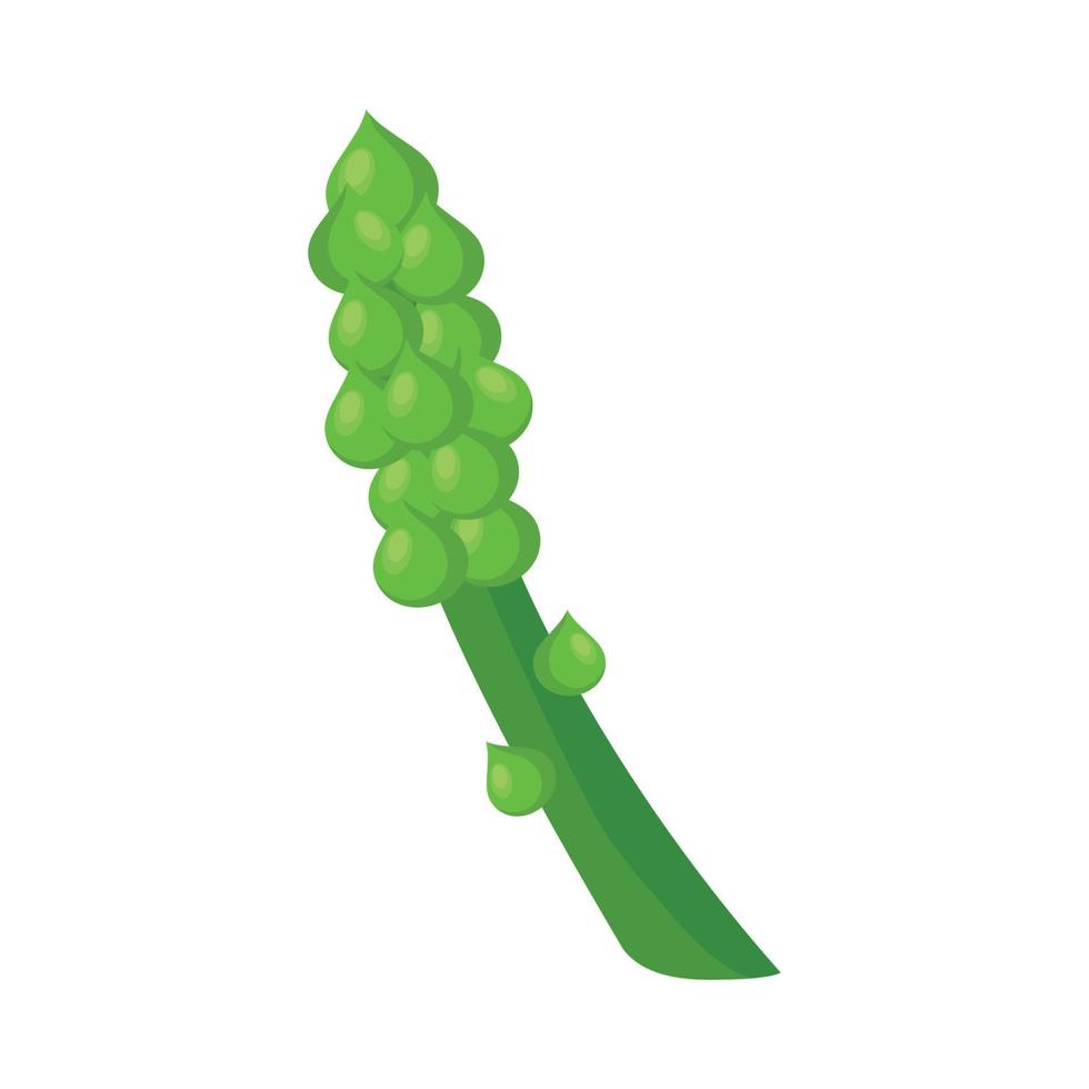 fresco asparago verdura vettore