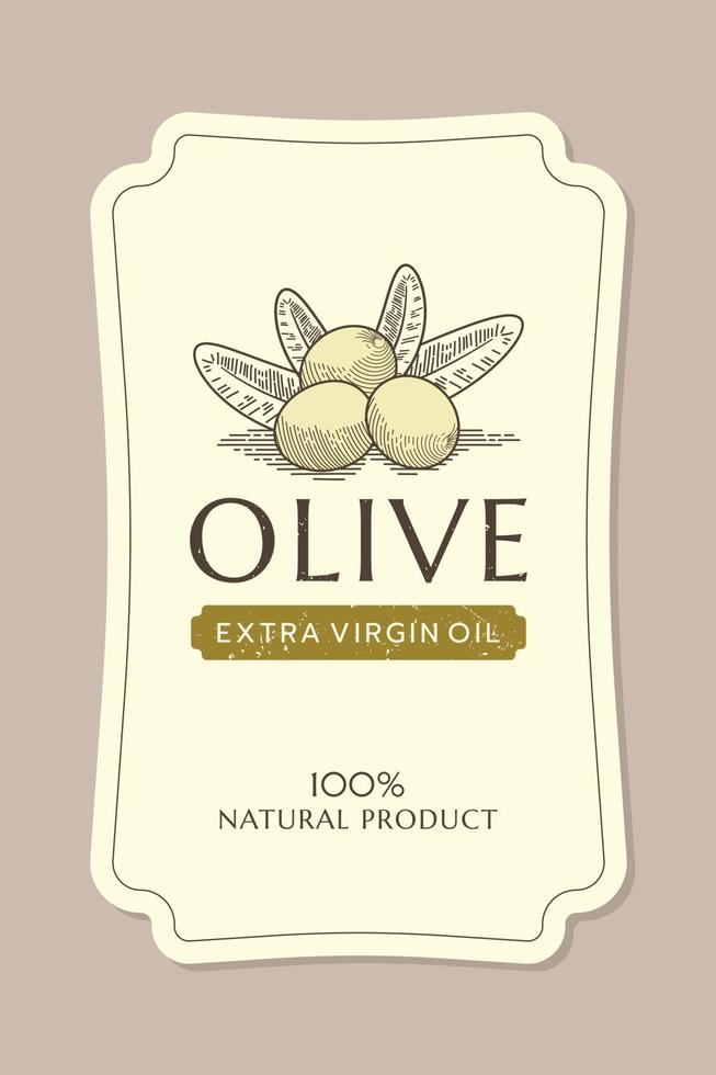 oliva olio etichetta modello con oliva ramo nel Vintage ▾, mano disegnato e linea stile vettore