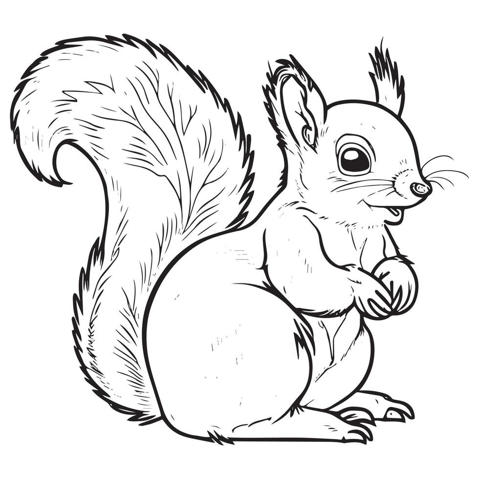 scoiattolo schema vettore illustrazione. colorazione libro per bambini.