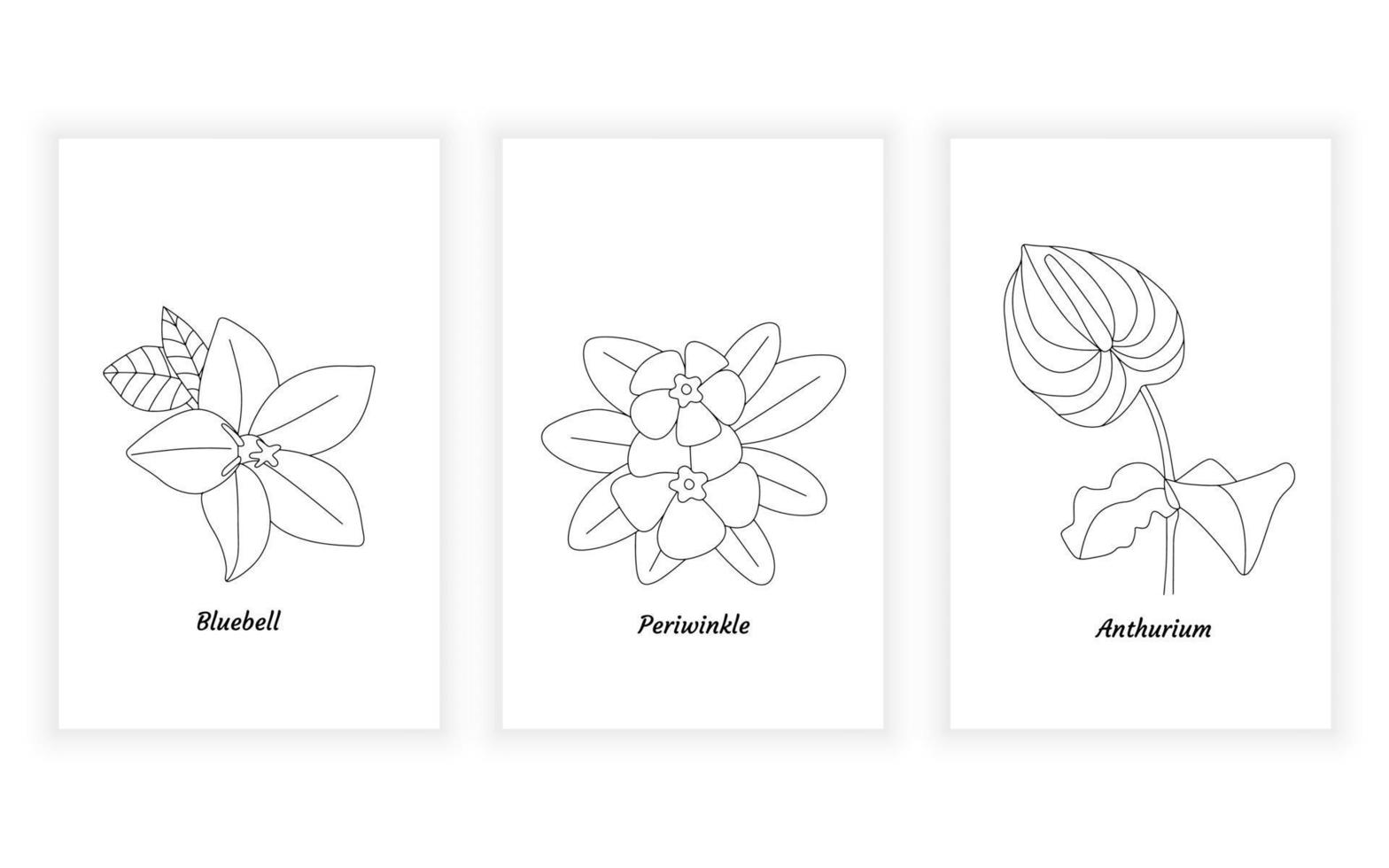 vettore moderno minimalismo fiore linea arte drawning illustrazione. campanula, pervinca. anthurium