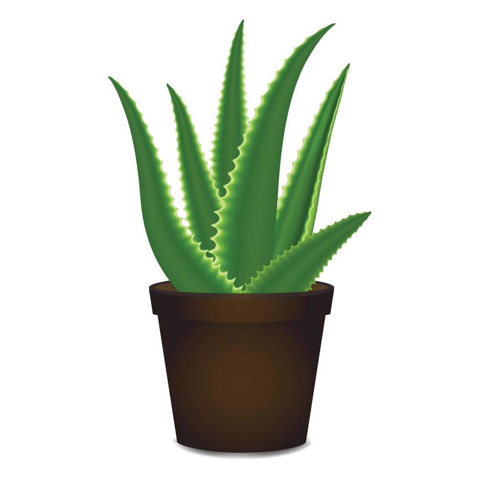 aloe Vera pentola icona, cartone animato stile vettore