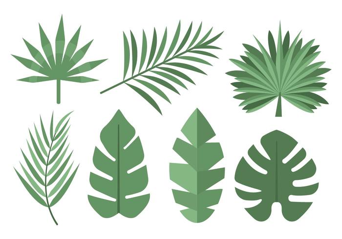 Vettore di foglie di palme tropicali