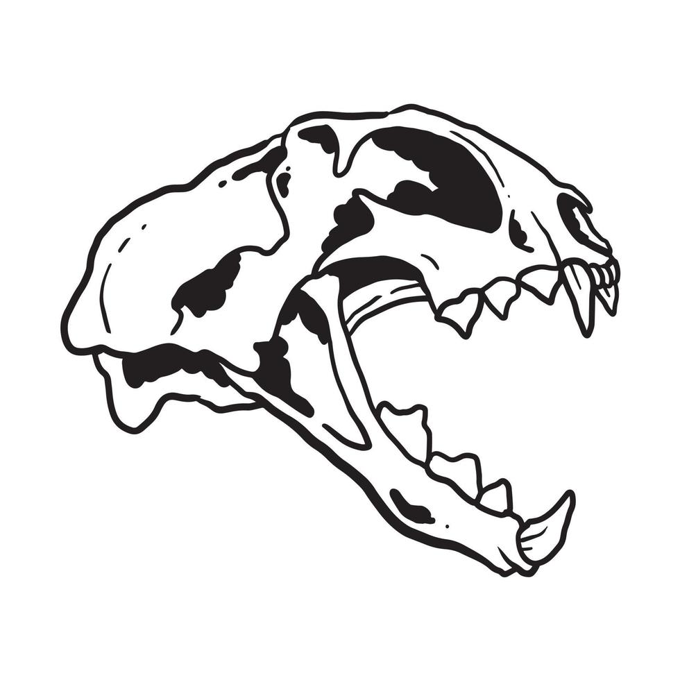 gatto cranio illustrazione vettore
