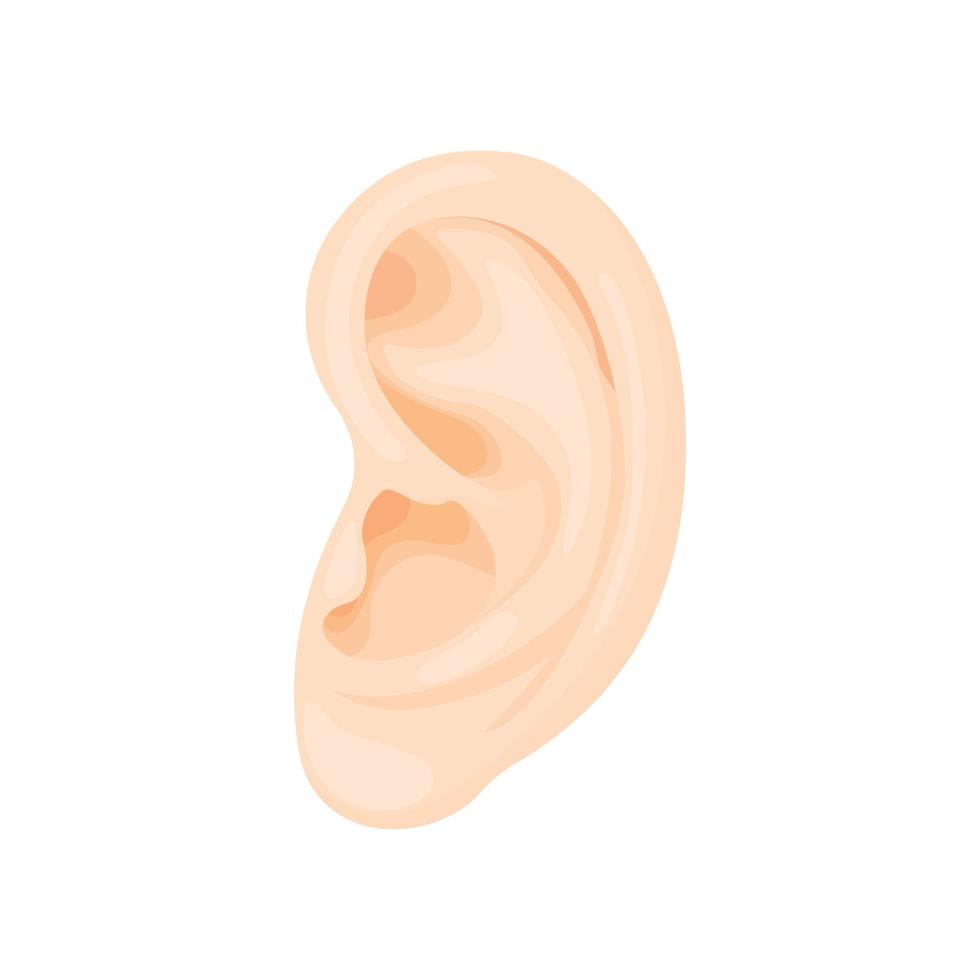 umano orecchio icona, cartone animato stile vettore