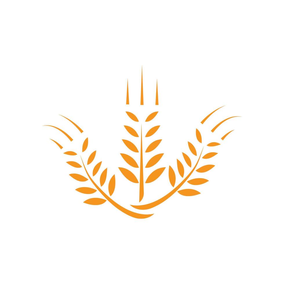 modello di logo di grano vettore