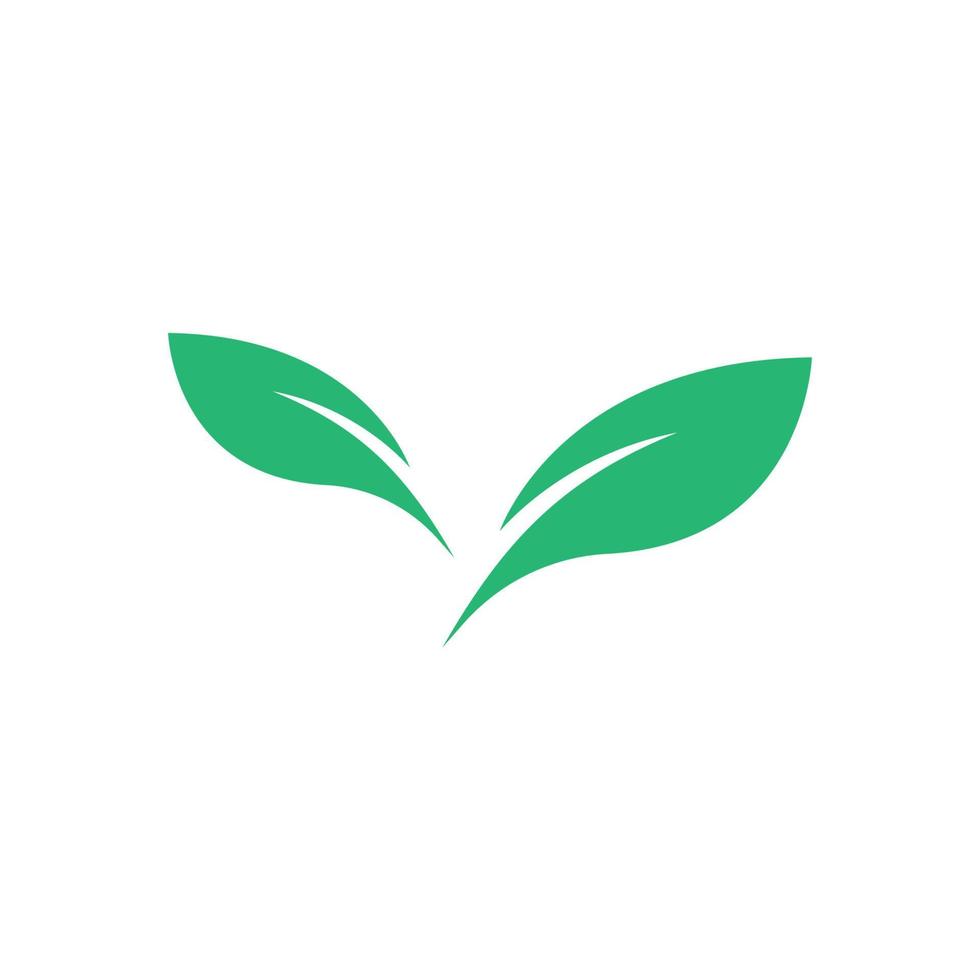 logo foglia verde vettore