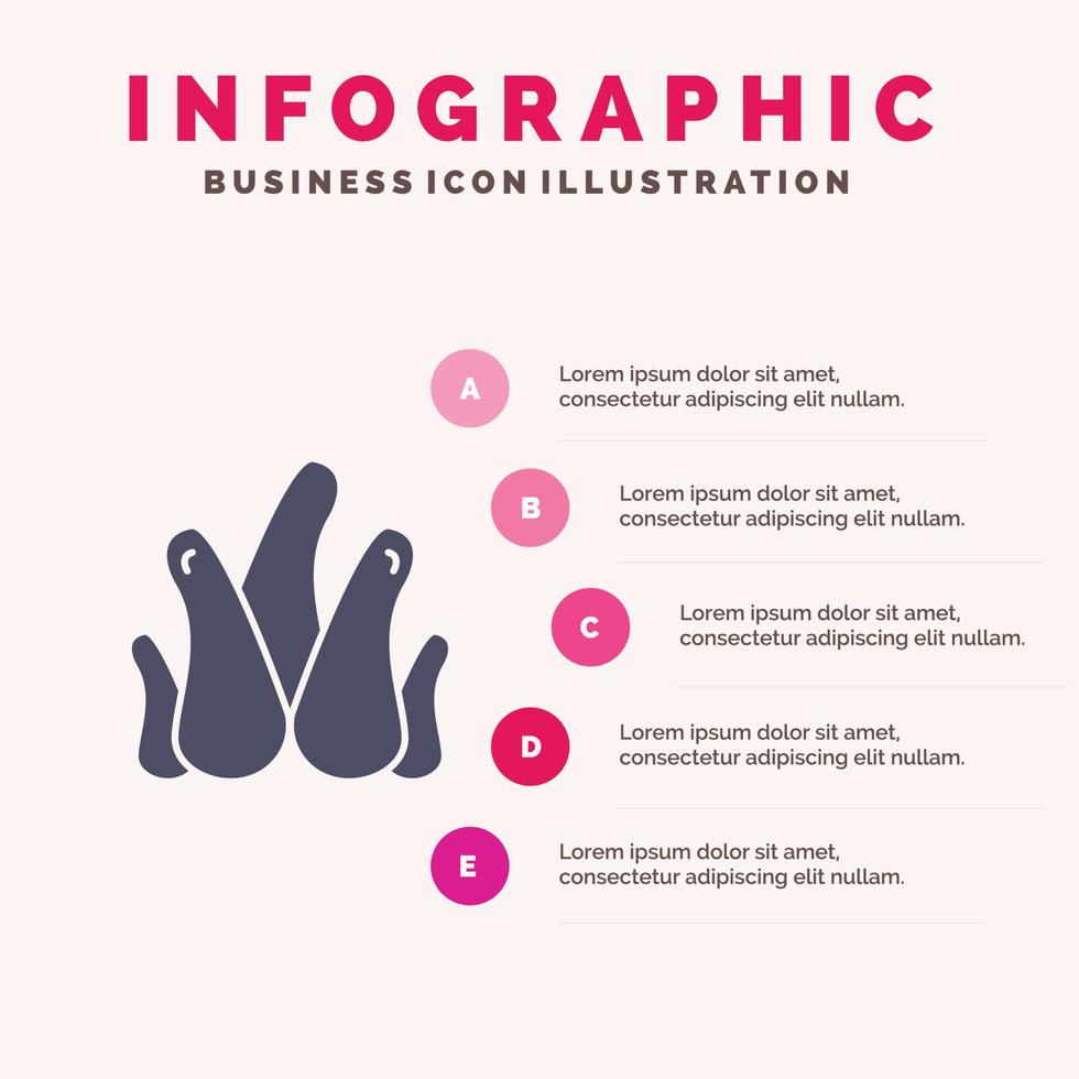 aloe pianta aloe Vera naturale succulento pianta solido icona infografica 5 passaggi presentazione sfondo vettore
