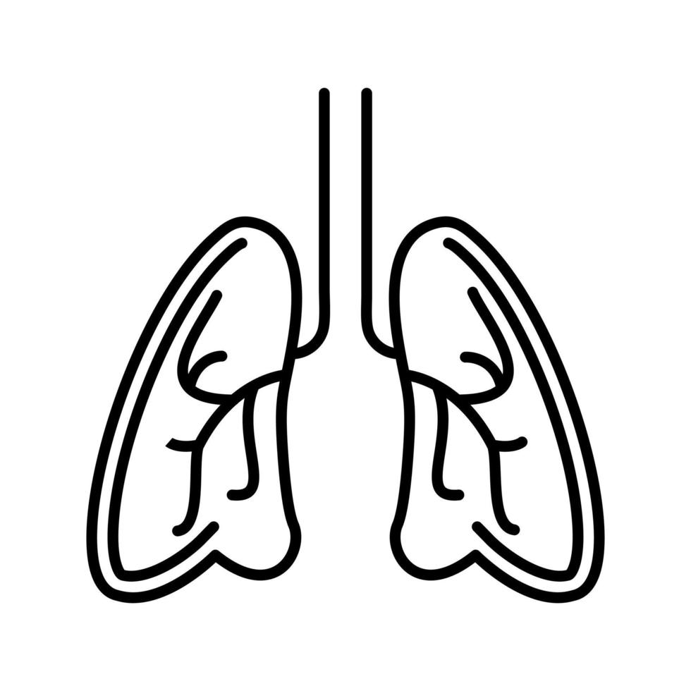 polmoni vettore icona
