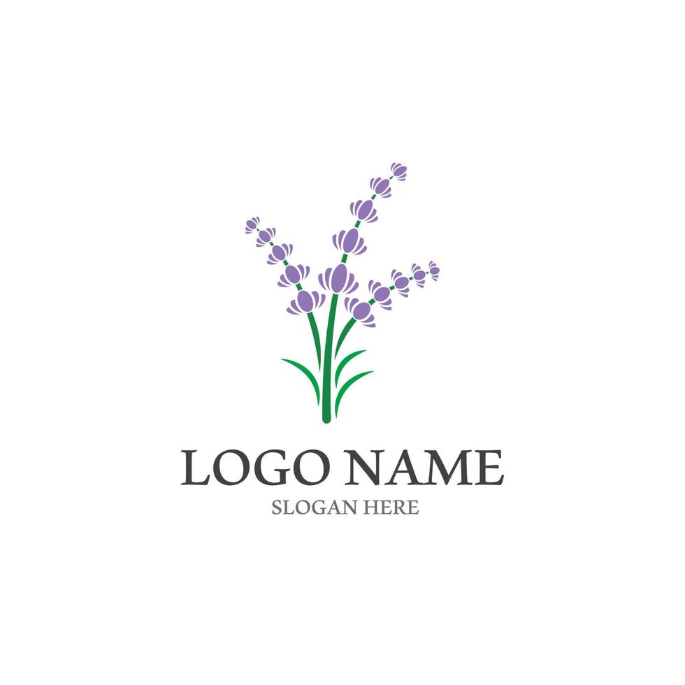 fresco lavanda fiore icona logo vettore