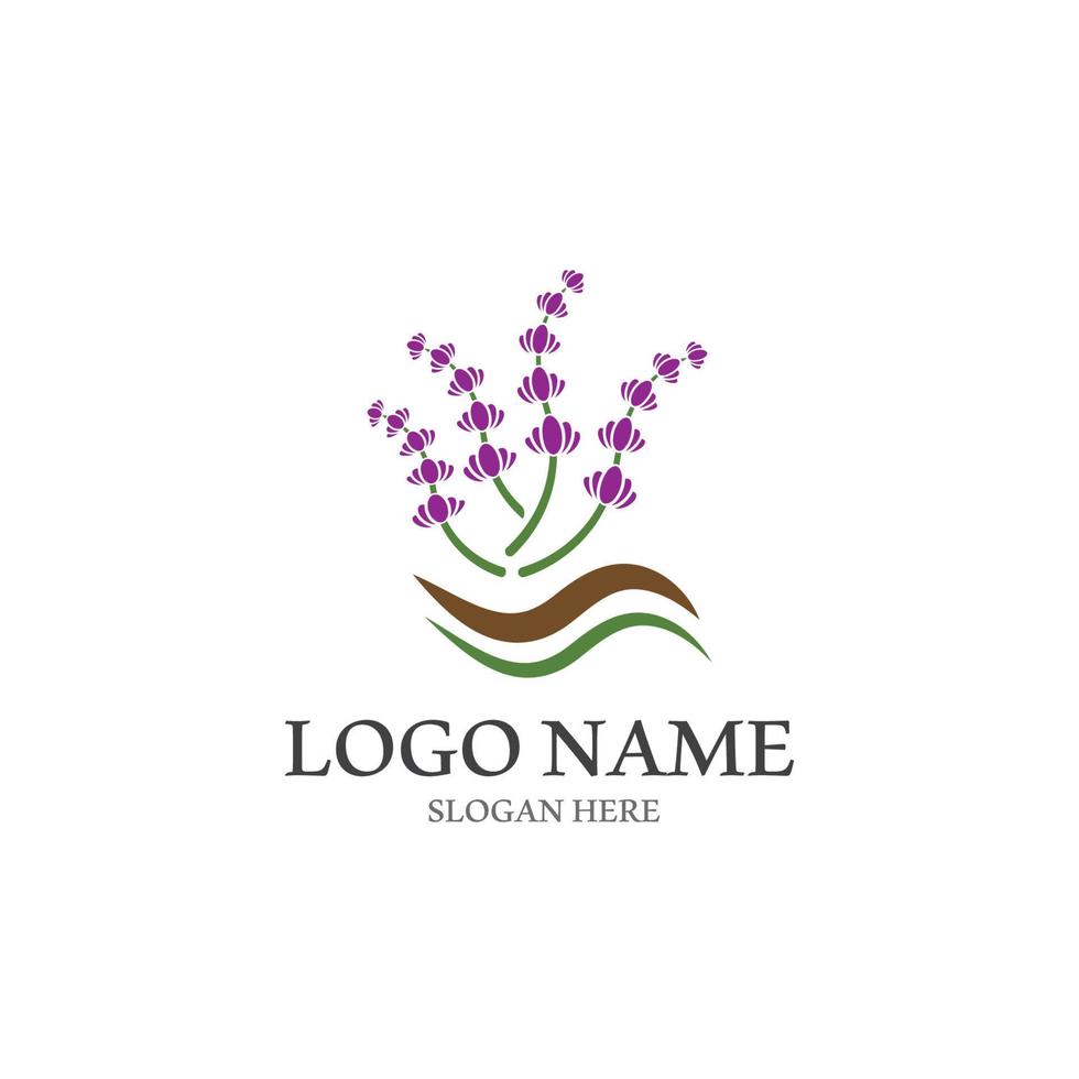 fresco lavanda fiore icona logo vettore