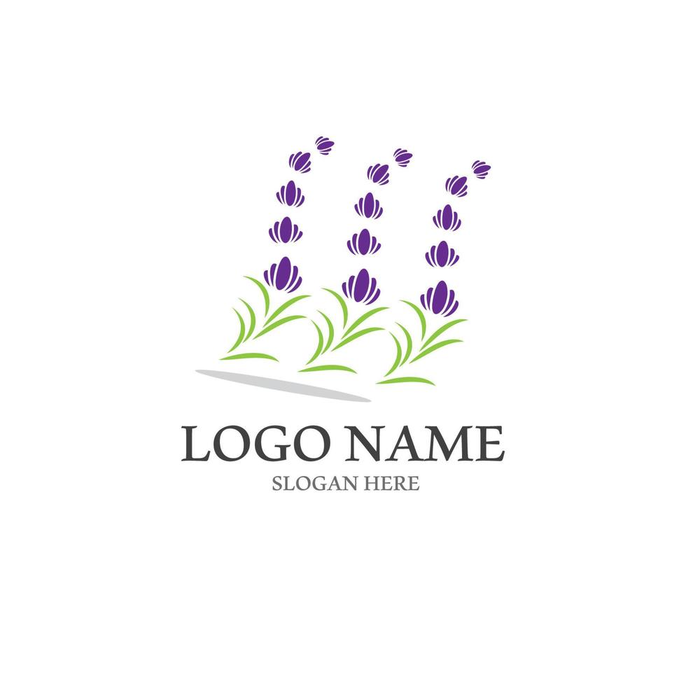 fresco lavanda fiore icona logo vettore