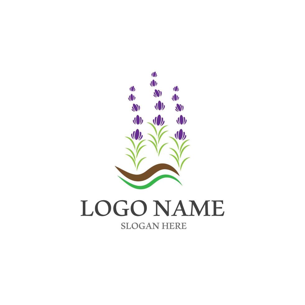 fresco lavanda fiore icona logo vettore