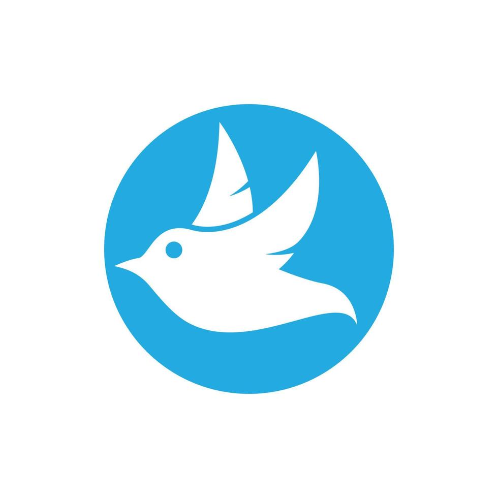 immagini del logo degli uccelli vettore