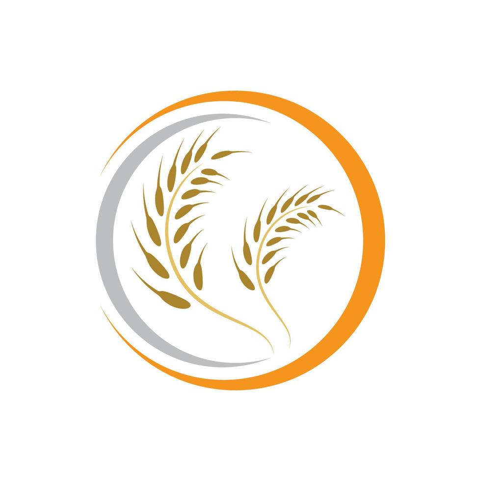 immagini del logo di grano vettore