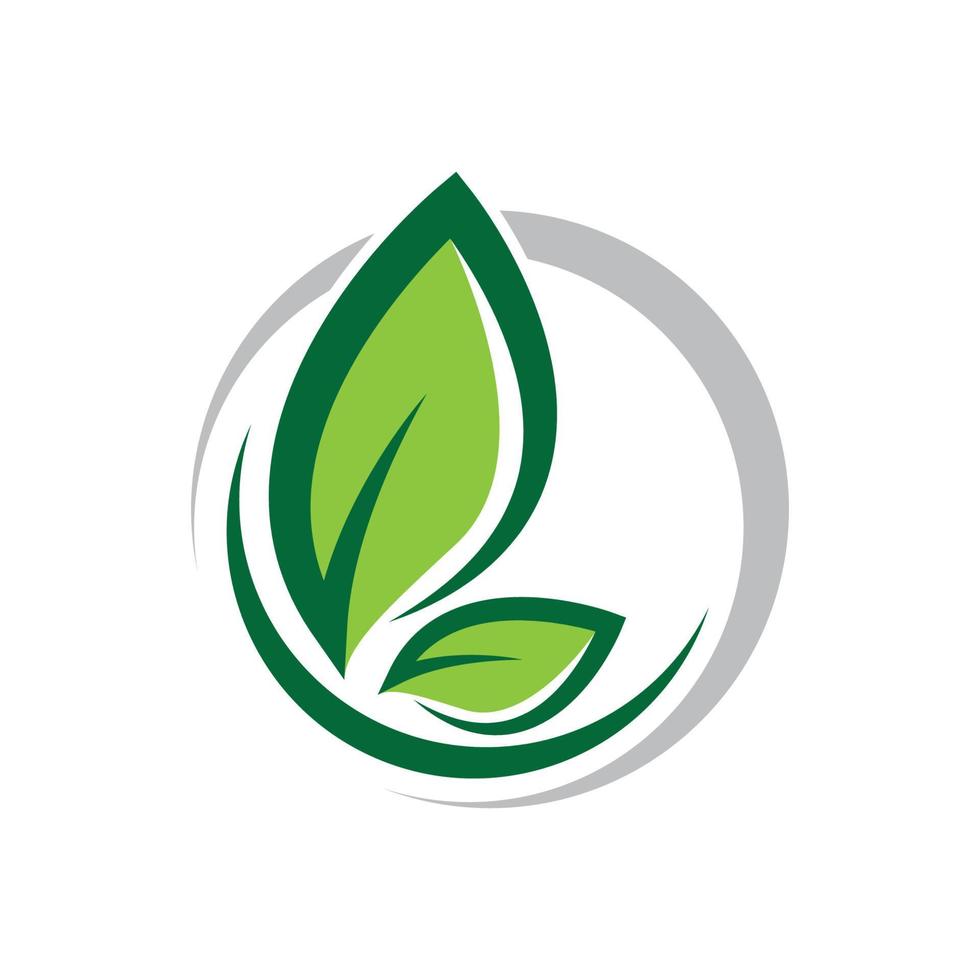 illustrazione di immagini del logo di ecologia vettore