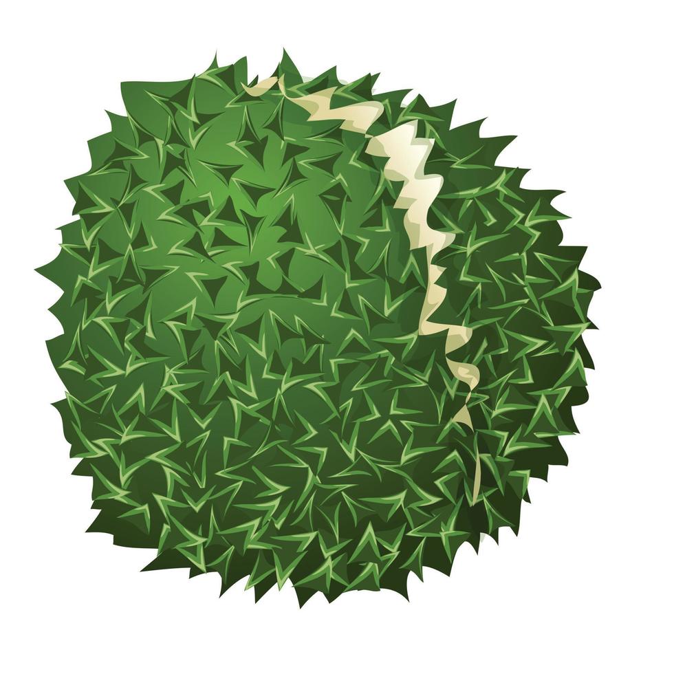 durian maturo icona, cartone animato stile vettore