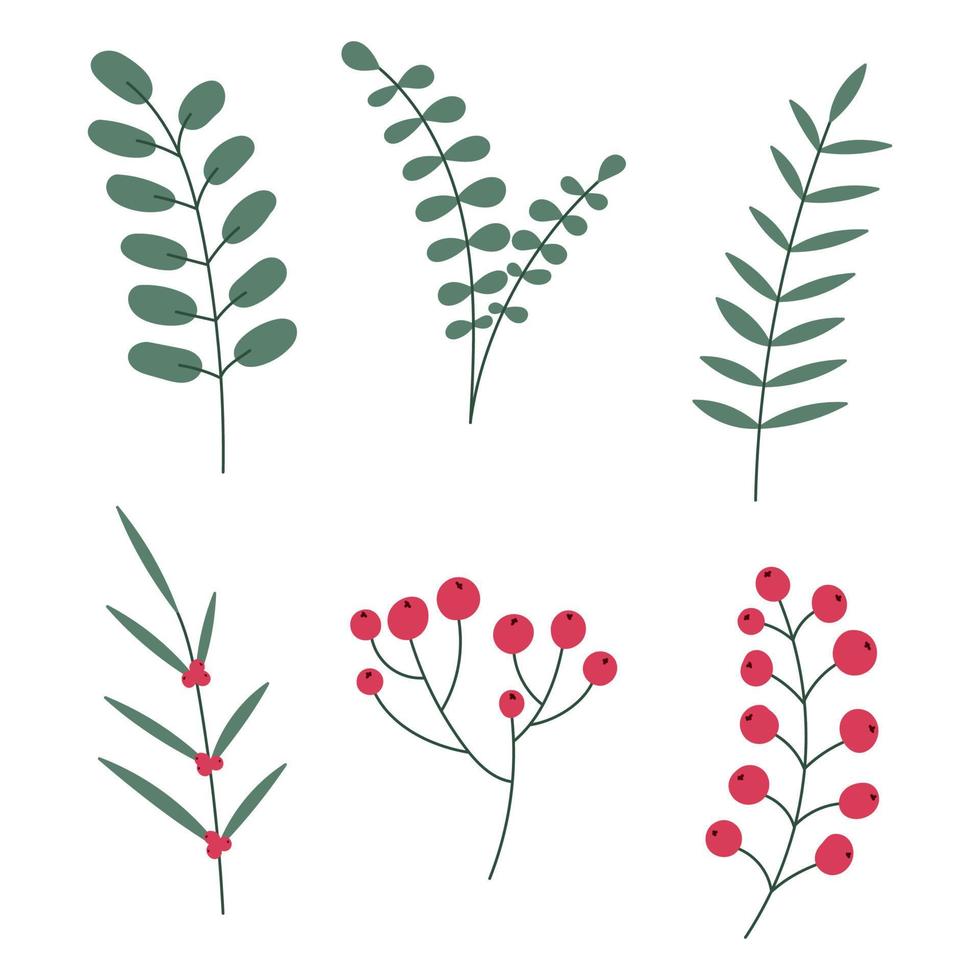 mano disegnato inverno le foglie e rami. impostato di impianti con fiori, abete rosso rami, le foglie e frutti di bosco. vettore illustrazione