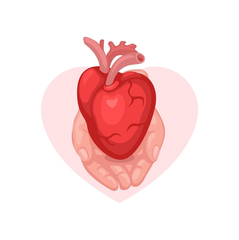 mondo organo donazione giorno. cuore trapianto simbolo cartone animato illustrazione vettore
