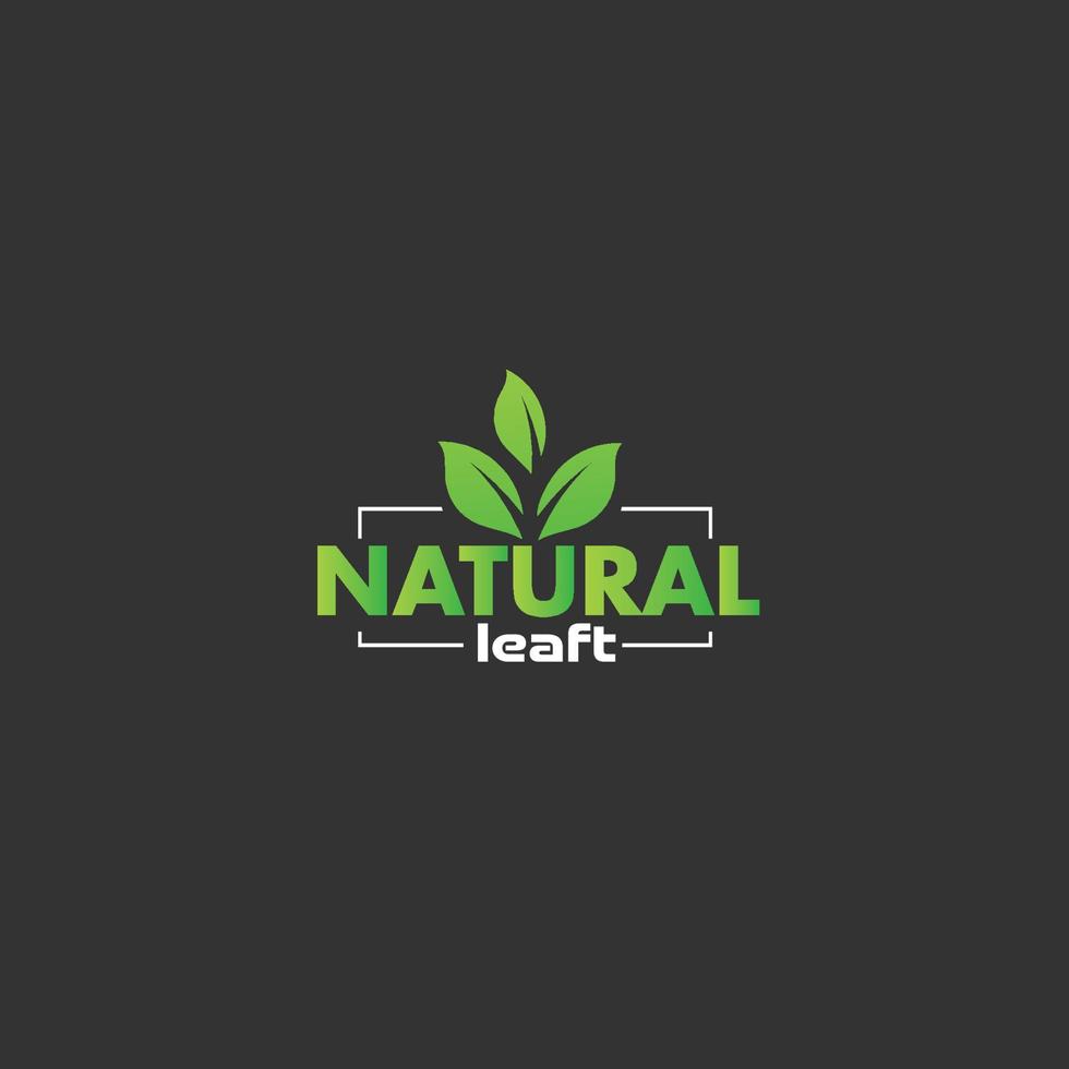naturale foglio minimalista logo design vettore modello