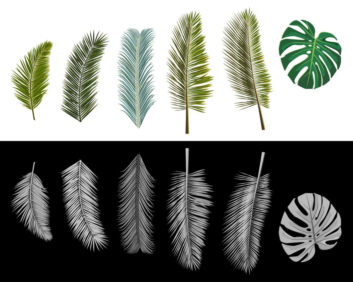impostato di isolato realistico palma le foglie colorato e scala di grigi. vettore illustrazione.