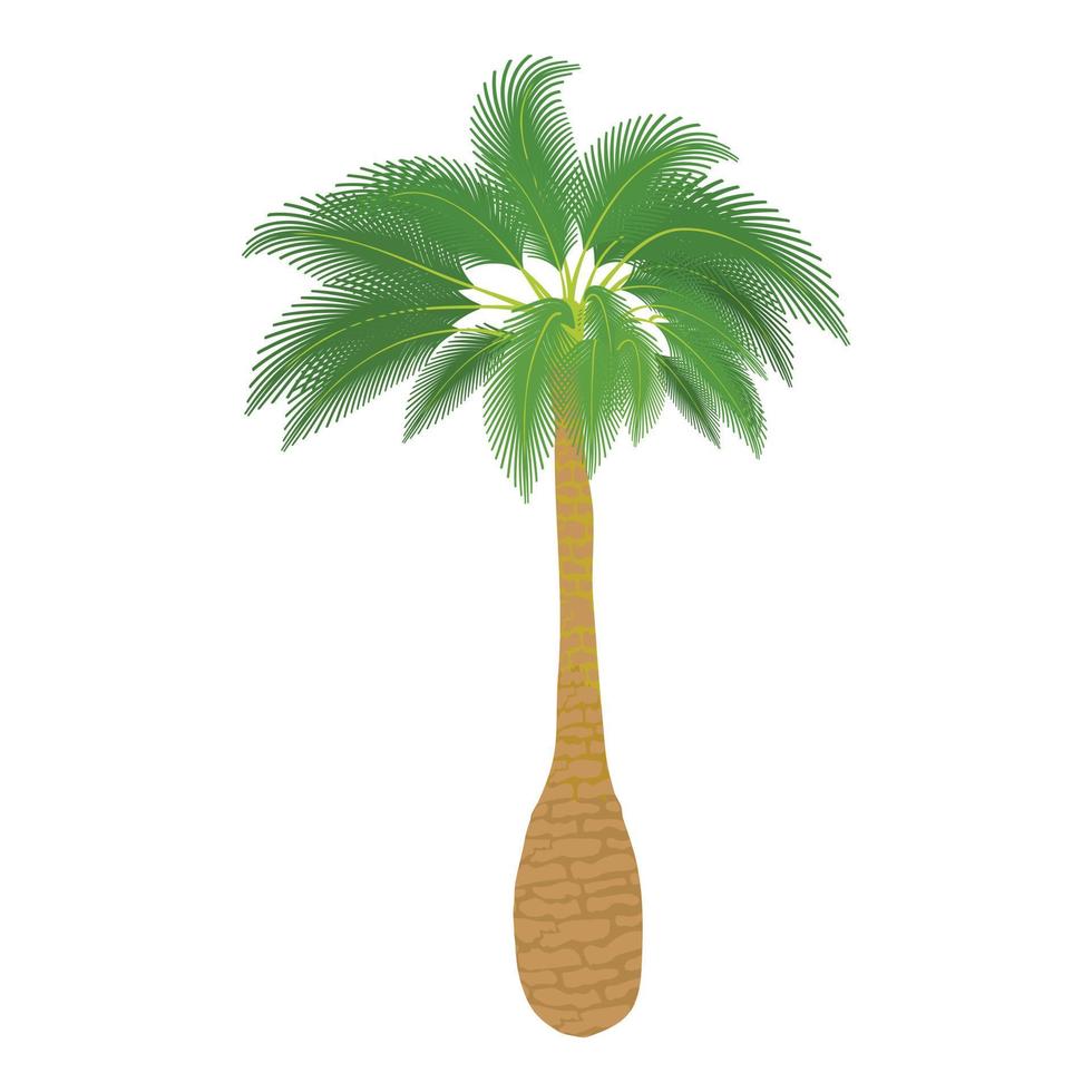 verde palma icona, cartone animato stile vettore