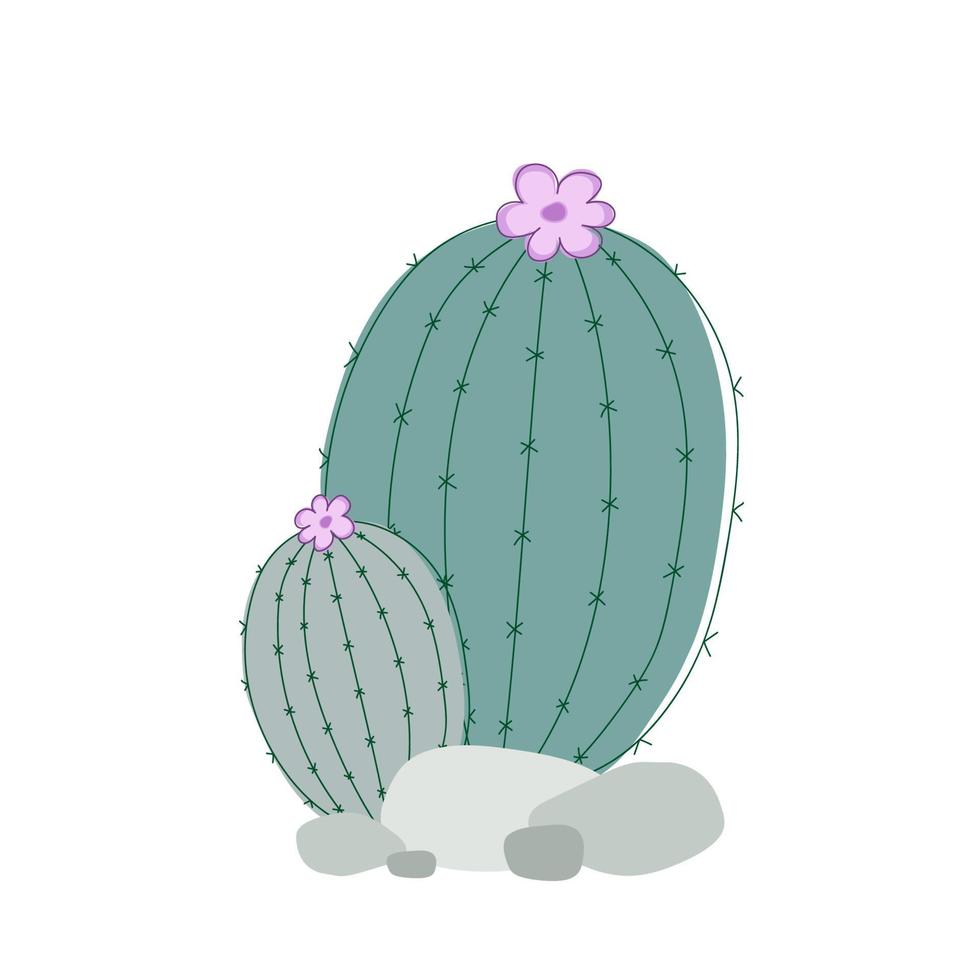 verde succulento con rosa fiore nel grigio pietre su un' bianca sfondo. vettore cactus disegnato con semplice Linee.