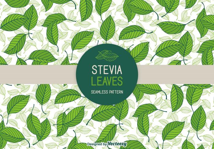 foglie di stevia vettoriali modelli senza soluzione