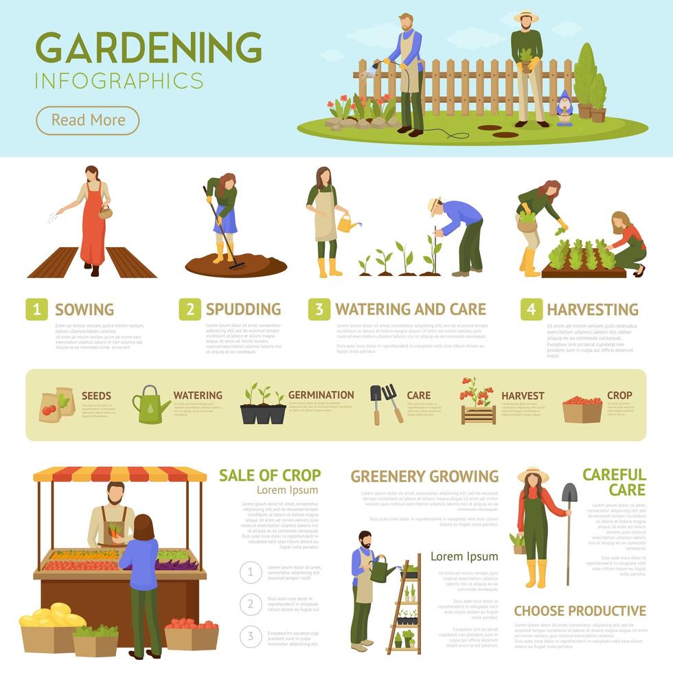 modello di infografica giardinaggio vettore