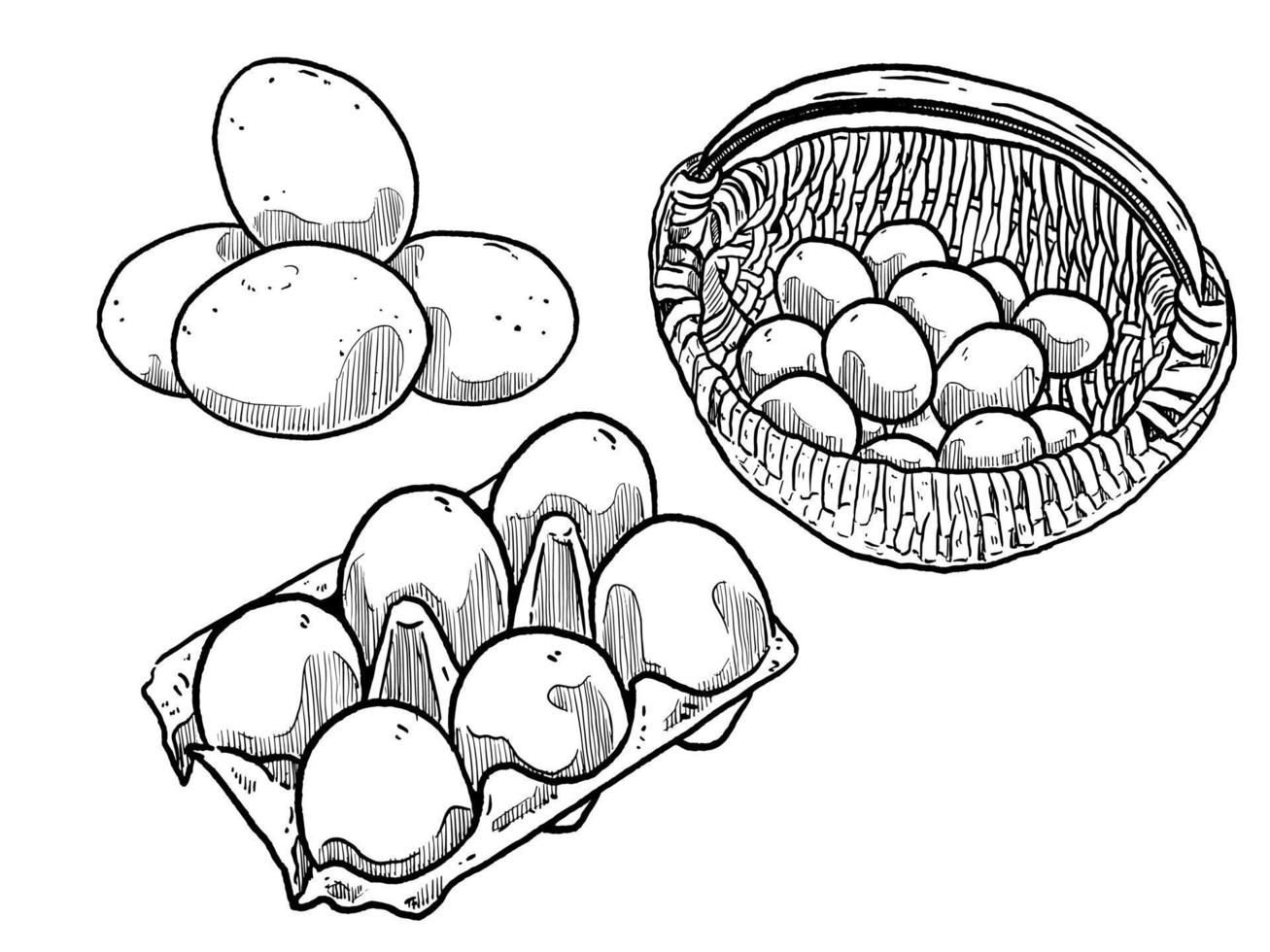 impostato di schizzo e mano disegnato uovo e cestino nel uova vettore