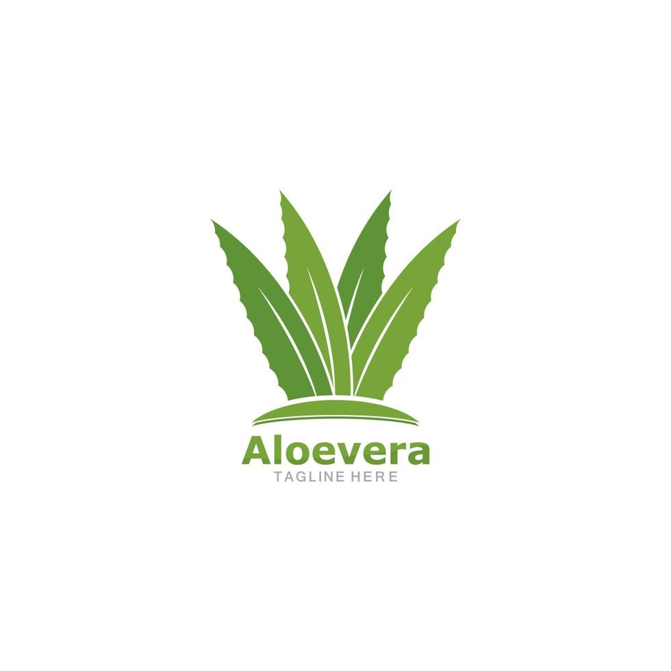 impostato di Aloe Vera logo modello vettore icona