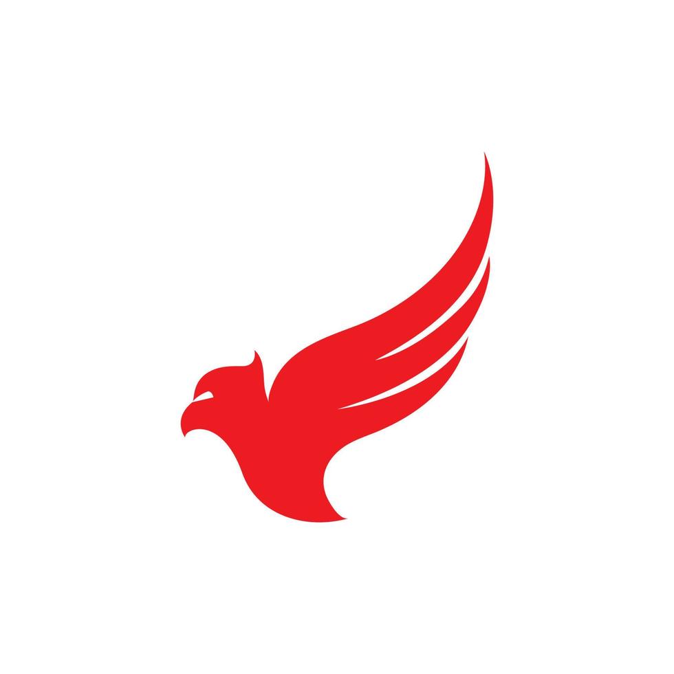 vettore del modello del logo dell'uccello dell'aquila del falco