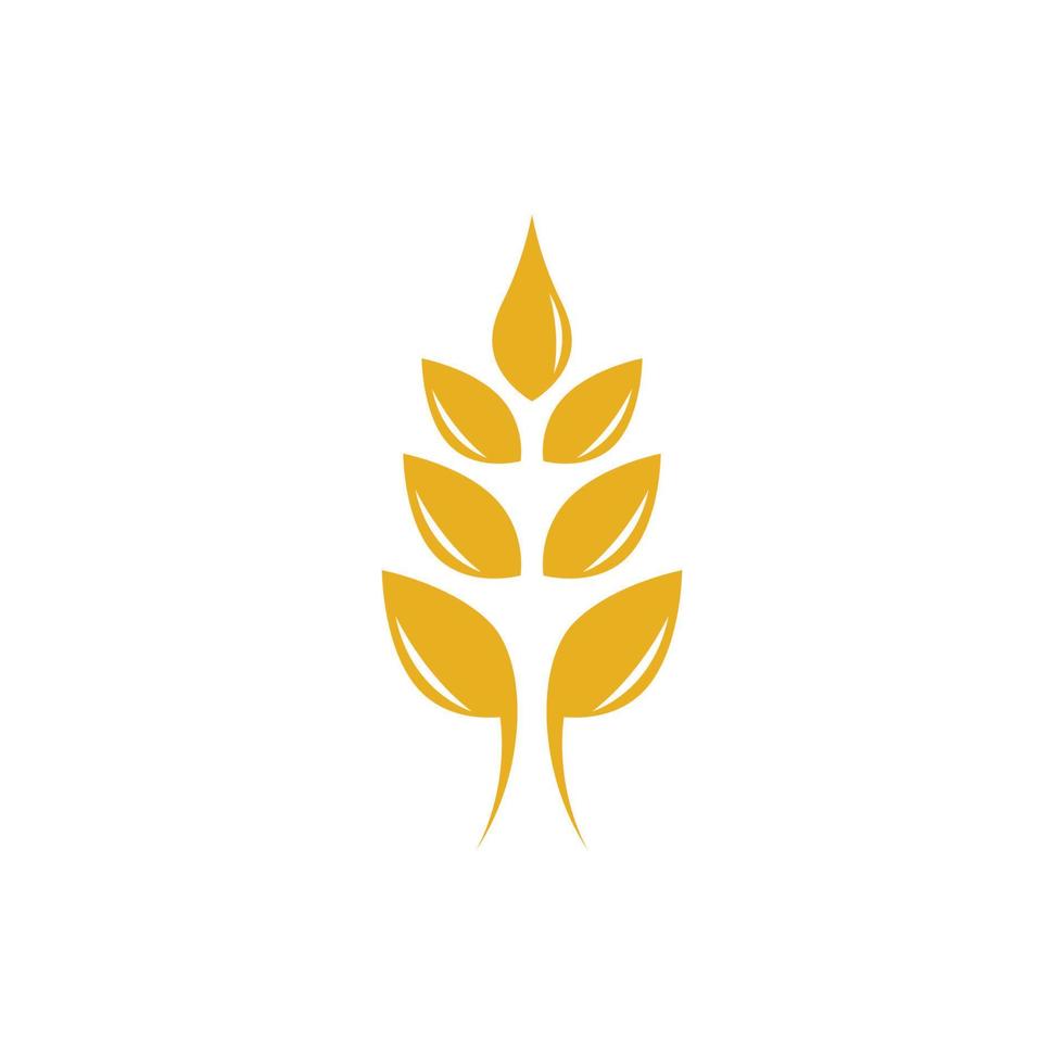 immagini del logo di grano agricoltura vettore