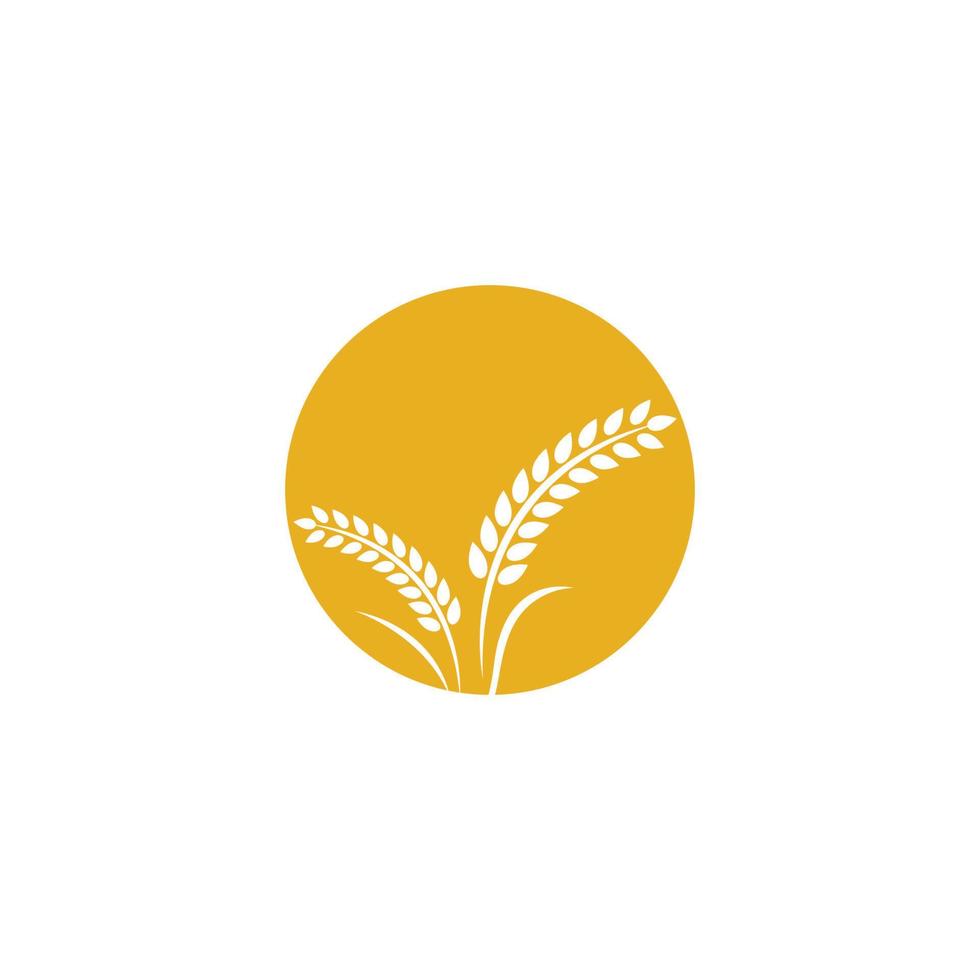 immagini del logo di grano vettore