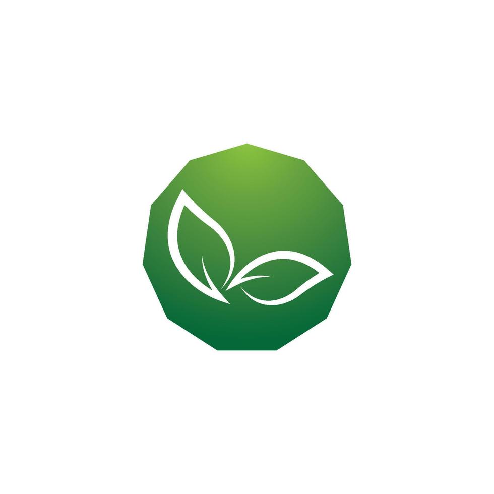 ecologia logo modello vettore icona illustrazione