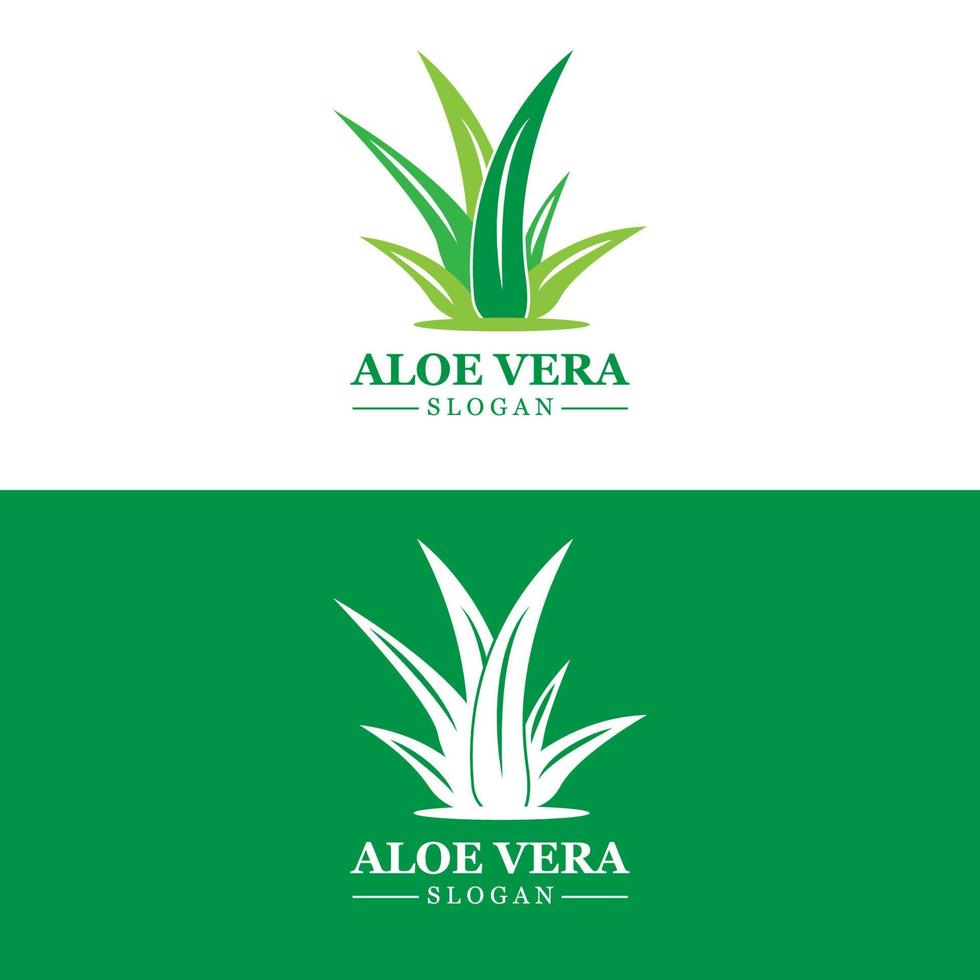 aloe Vera logo, Salute foglia vettore, design adatto per bellezza salone, biologico raccolta differenziata, pelle Salute foglia vettore