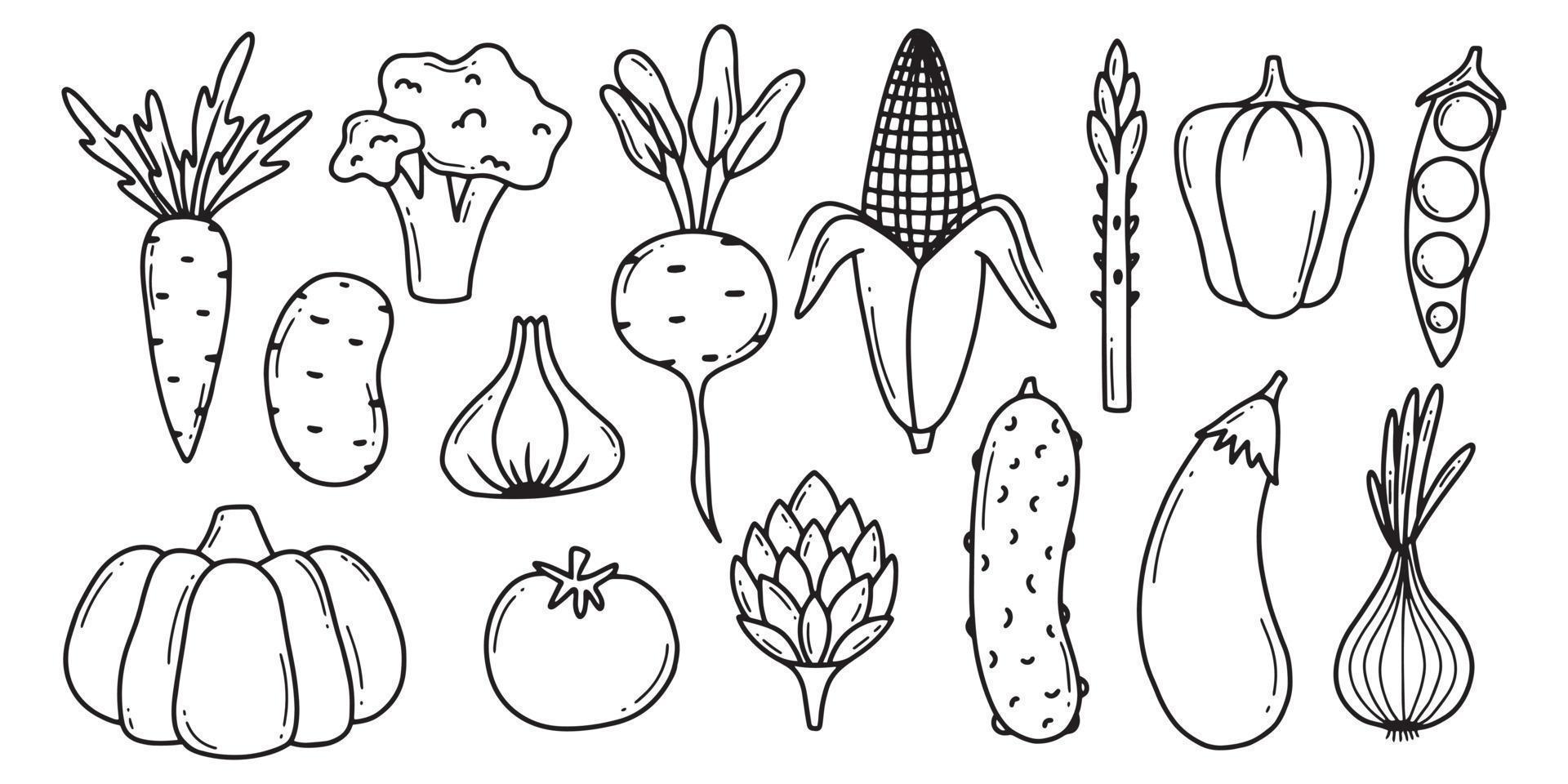 scarabocchio verdure vettore impostare. collezione di verdure broccoli, Mais, Pepe, cipolla, aglio, asparago. disegnato a mano stile isolato su bianca sfondo.