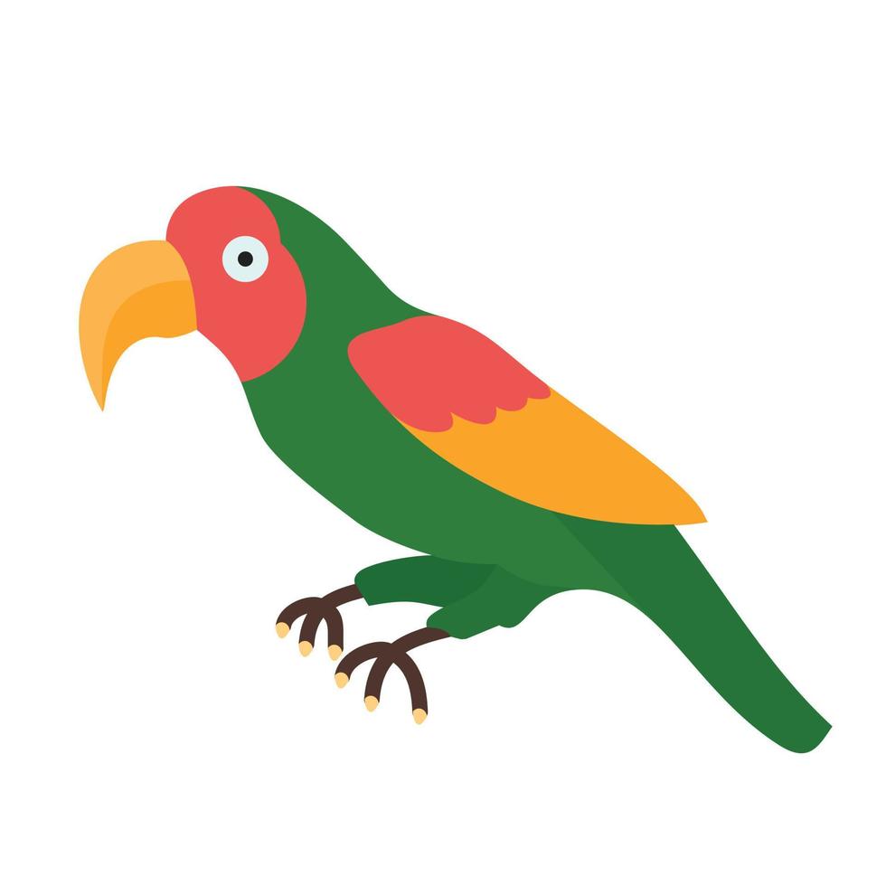 pappagallo animale vettore illustrazione icona