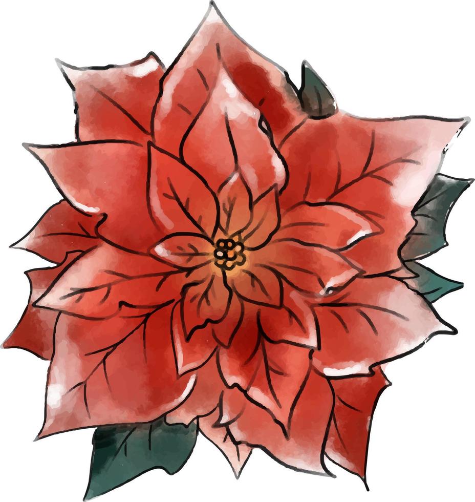 nuovo anni rosso fiore. acquerello Natale vettore disegno. per nuovo anno e Natale illustrazioni.