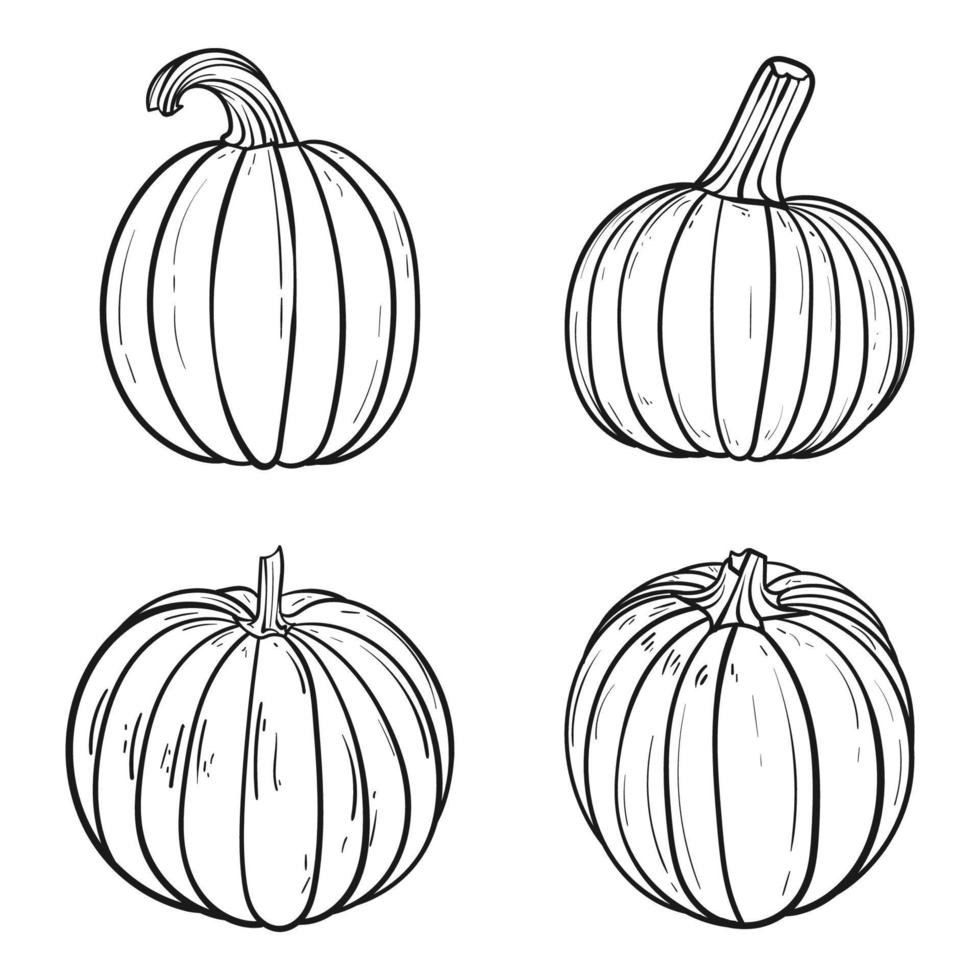 mano disegnato nero e bianca zucca collezione impostare, piatto stile vettore illustrazione.