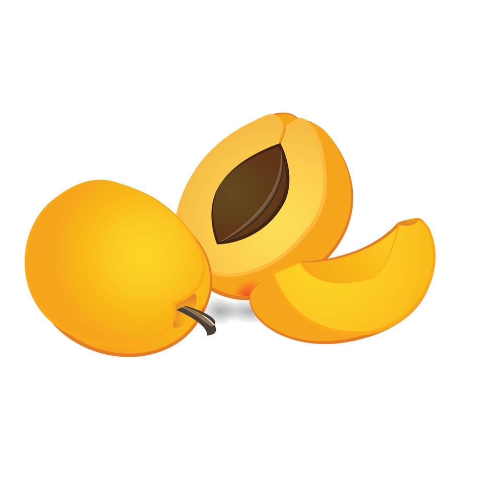 Nettarina albicocca icona cartone animato vettore. cibo succo vettore